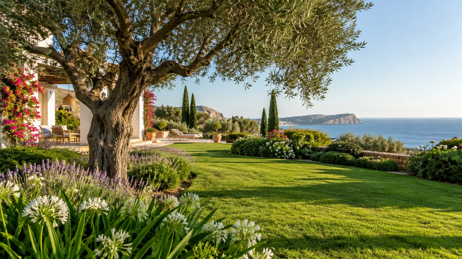 Jardín mediterráneo con césped, olivo y flores. Imagen ilustrativa.
